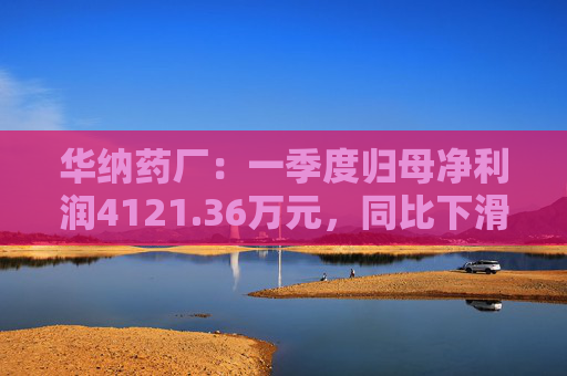 华纳药厂：一季度归母净利润4121.36万元，同比下滑31.37%