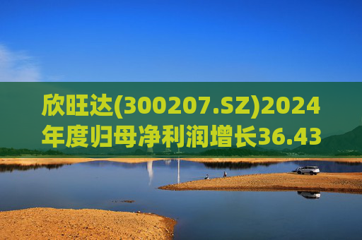 欣旺达(300207.SZ)2024年度归母净利润增长36.43%至14.68亿元，动力电池出货量合计25.29GWh