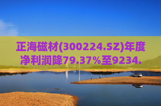 正海磁材(300224.SZ)年度净利润降79.37%至9234.02万元  高性能钕铁硼永磁材料销量实现连续七年增长