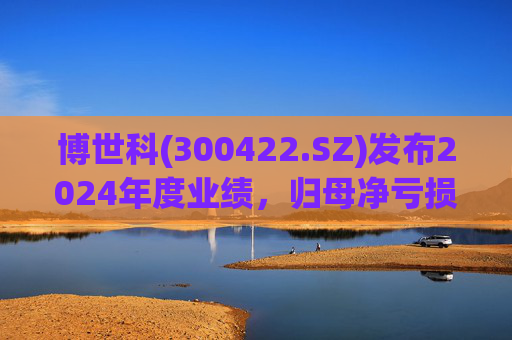 博世科(300422.SZ)发布2024年度业绩，归母净亏损8.65亿元，扩大300.66%