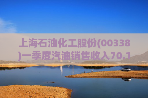 上海石油化工股份(00338)一季度汽油销售收入70.13亿元