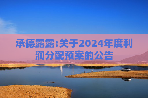 承德露露:关于2024年度利润分配预案的公告