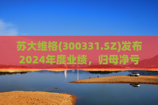 苏大维格(300331.SZ)发布2024年度业绩，归母净亏损5805万元，亏损扩大