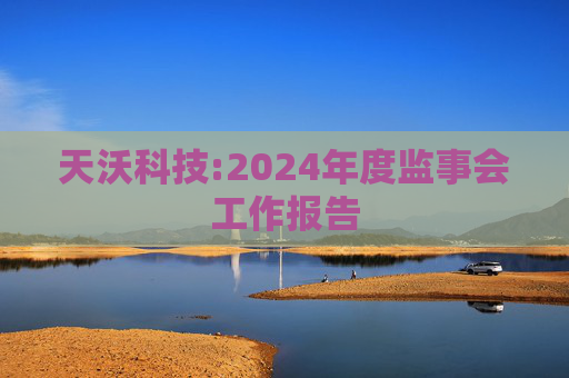 天沃科技:2024年度监事会工作报告