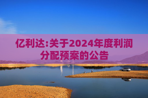 亿利达:关于2024年度利润分配预案的公告
