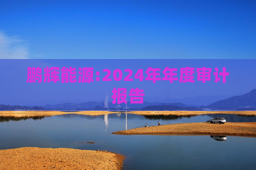 鹏辉能源:2024年年度审计报告