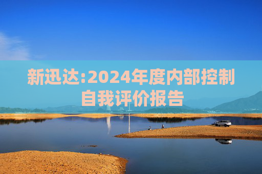 新迅达:2024年度内部控制自我评价报告  第1张