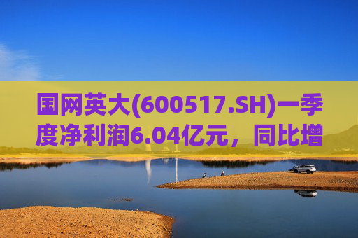 国网英大(600517.SH)一季度净利润6.04亿元，同比增长45.22%