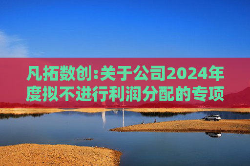 凡拓数创:关于公司2024年度拟不进行利润分配的专项说明