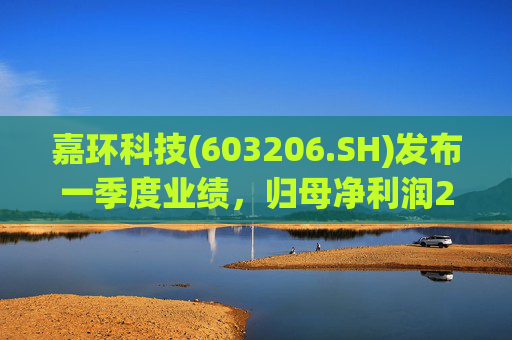 嘉环科技(603206.SH)发布一季度业绩，归母净利润2021.72万元，同比下降21.02%