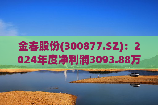 金春股份(300877.SZ)：2024年度净利润3093.88万元 拟10派1元  第1张