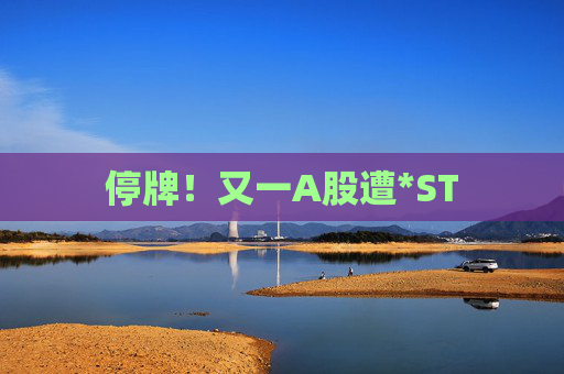 停牌！又一A股遭*ST