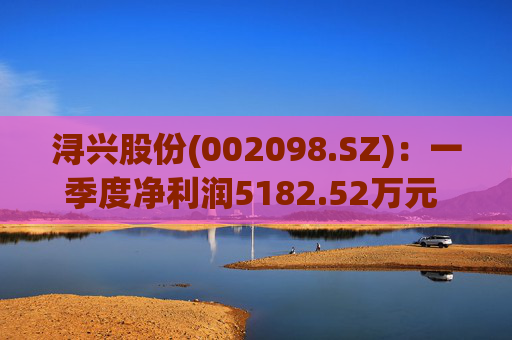 浔兴股份(002098.SZ)：一季度净利润5182.52万元 同比增加41.52%