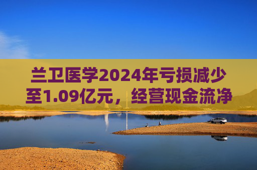 兰卫医学2024年亏损减少至1.09亿元，经营现金流净额降60.5%  第1张