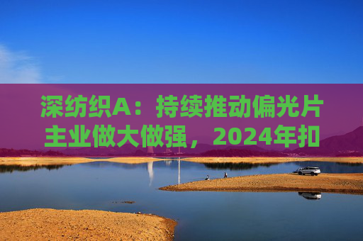 深纺织A：持续推动偏光片主业做大做强，2024年扣非归母净利润增长23.58%