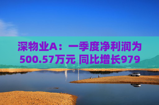 深物业A：一季度净利润为500.57万元 同比增长979.79%  第1张