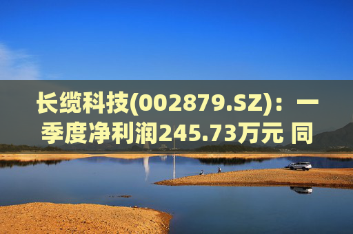 长缆科技(002879.SZ)：一季度净利润245.73万元 同比下降84.88%