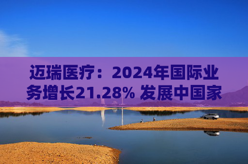 迈瑞医疗：2024年国际业务增长21.28% 发展中国家成重要增长引擎