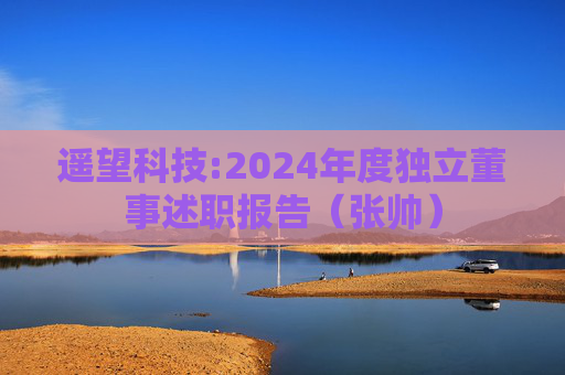 遥望科技:2024年度独立董事述职报告（张帅）