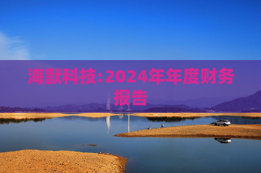 海默科技:2024年年度财务报告