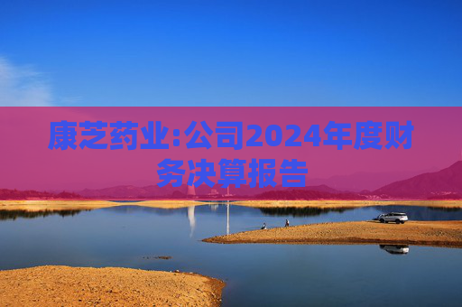 康芝药业:公司2024年度财务决算报告