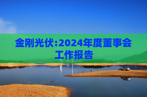 金刚光伏:2024年度董事会工作报告