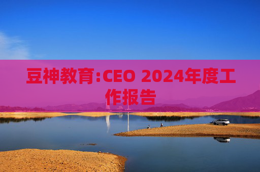 豆神教育:CEO 2024年度工作报告