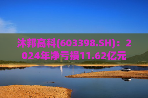 沐邦高科(603398.SH)：2024年净亏损11.62亿元  第1张