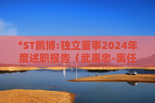 *ST鹏博:独立董事2024年度述职报告（武惠忠-离任）