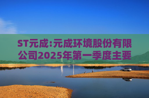 ST元成:元成环境股份有限公司2025年第一季度主要经营数据的公告