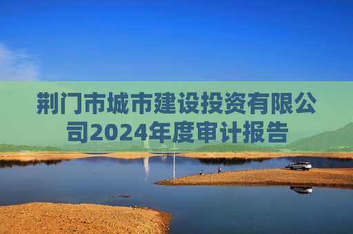 荆门市城市建设投资有限公司2024年度审计报告  第1张