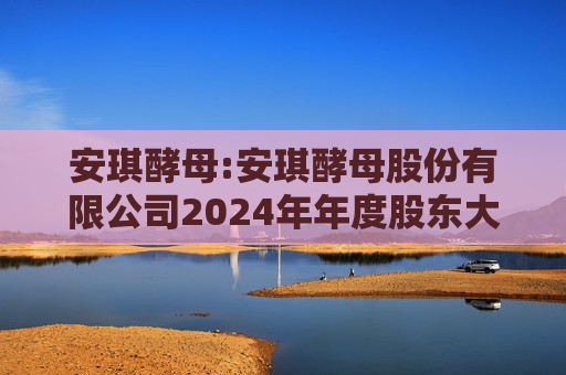安琪酵母:安琪酵母股份有限公司2024年年度股东大会决议公告