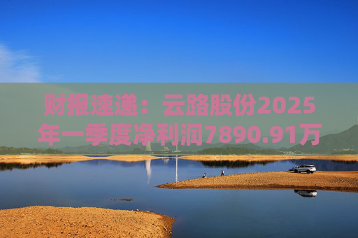 财报速递：云路股份2025年一季度净利润7890.91万元