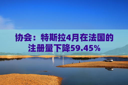 协会：特斯拉4月在法国的注册量下降59.45%