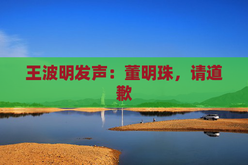 王波明发声：董明珠，请道歉