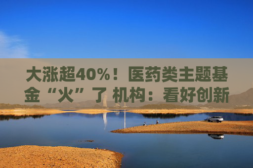 大涨超40%！医药类主题基金“火”了 机构：看好创新药投资机会