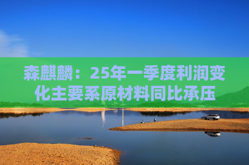 森麒麟：25年一季度利润变化主要系原材料同比承压
