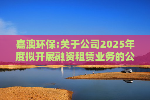嘉澳环保:关于公司2025年度拟开展融资租赁业务的公告