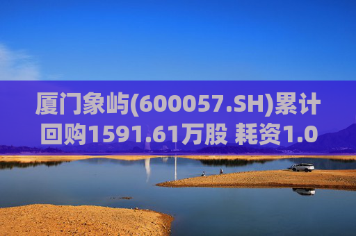 厦门象屿(600057.SH)累计回购1591.61万股 耗资1.03亿元  第1张
