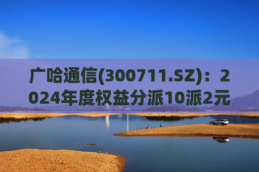 广哈通信(300711.SZ)：2024年度权益分派10派2元 股权登记日5月12日  第1张