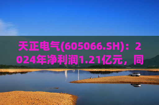 天正电气(605066.SH)：2024年净利润1.21亿元，同比下降24.94%