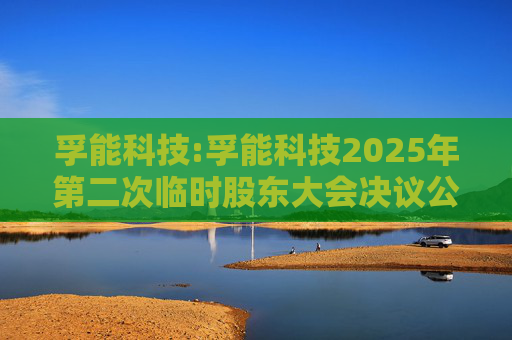 孚能科技:孚能科技2025年第二次临时股东大会决议公告