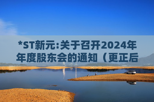 *ST新元:关于召开2024年年度股东会的通知（更正后）