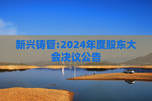 新兴铸管:2024年度股东大会决议公告