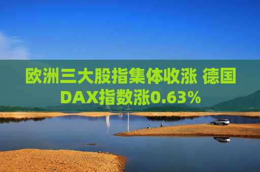 欧洲三大股指集体收涨 德国DAX指数涨0.63%