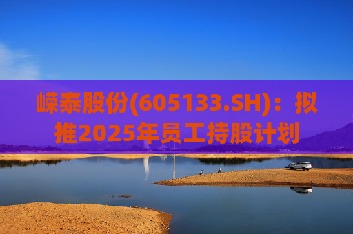 嵘泰股份(605133.SH)：拟推2025年员工持股计划  第1张