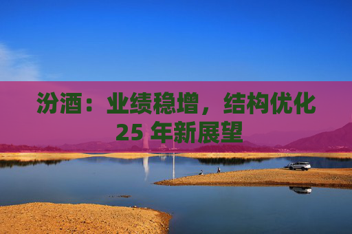 汾酒：业绩稳增，结构优化 25 年新展望