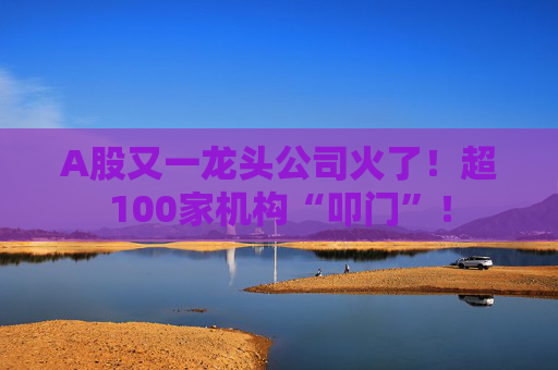 A股又一龙头公司火了！超100家机构“叩门”！
