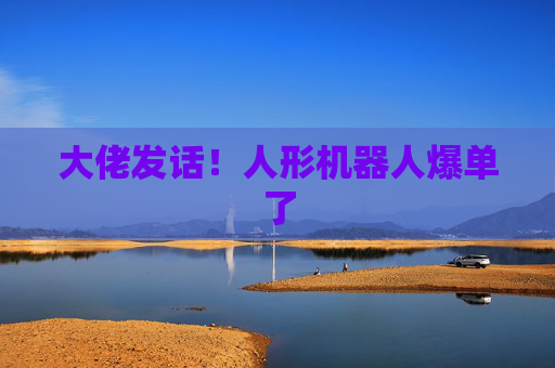 大佬发话！人形机器人爆单了