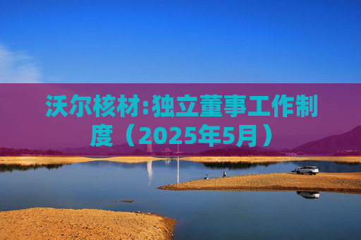 沃尔核材:独立董事工作制度（2025年5月）  第1张